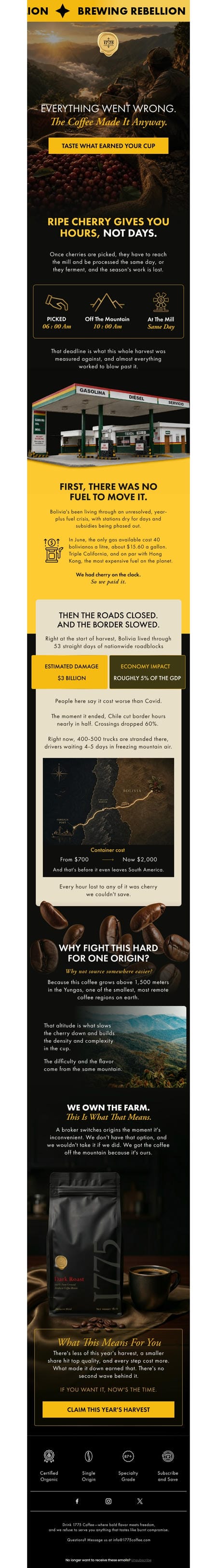 邮件模板创意 1775 Coffee Co 177