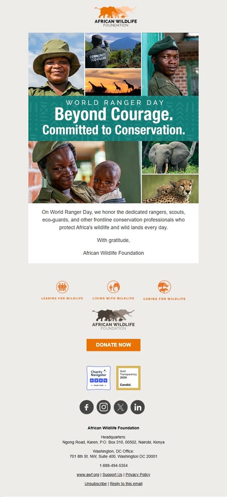 邮件模板创意 African Wildlife Foundation 6