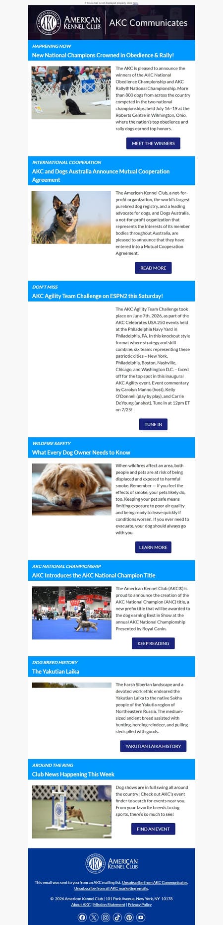 邮件模板创意 Akc Communications 7