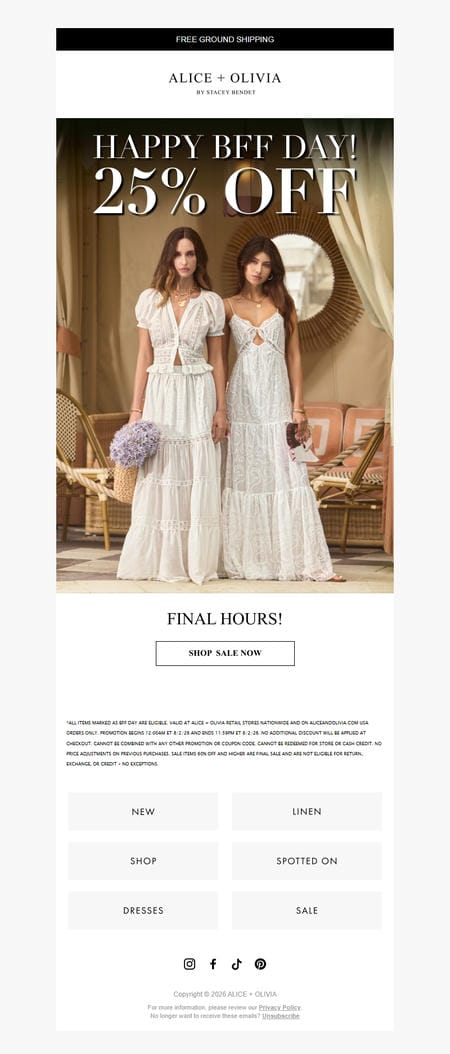 邮件模板创意 Alice Olivia Sale 17