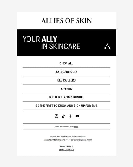邮件模板创意 Allies Of Skin 208