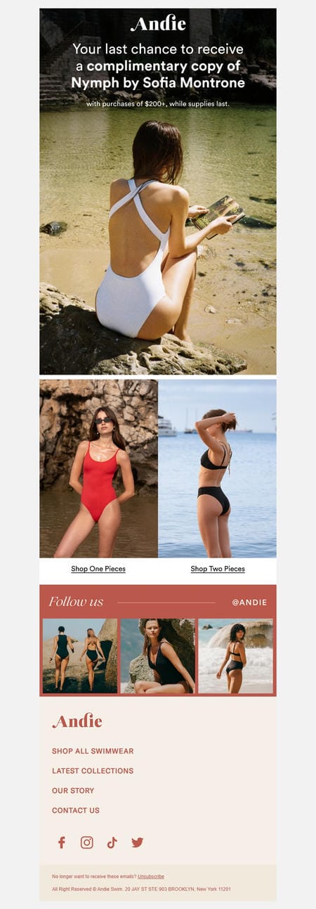 邮件模板创意 Andie Swim 196