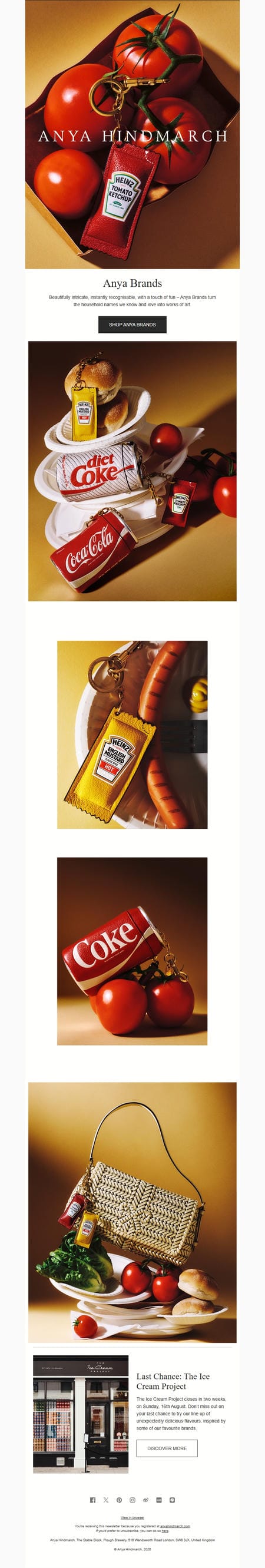 邮件模板创意 Anya Hindmarch 66
