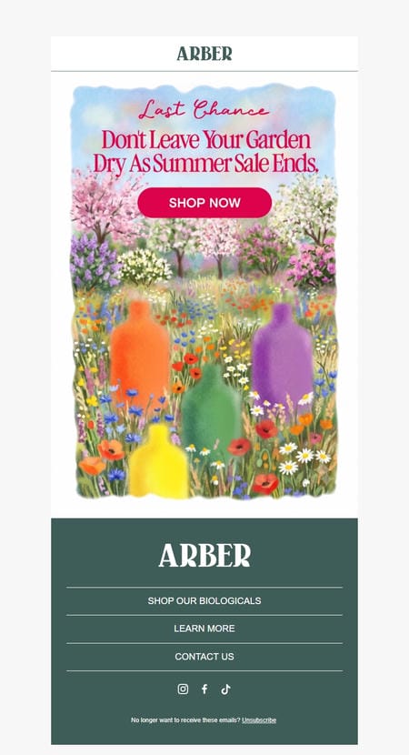 邮件模板创意 Arber 200