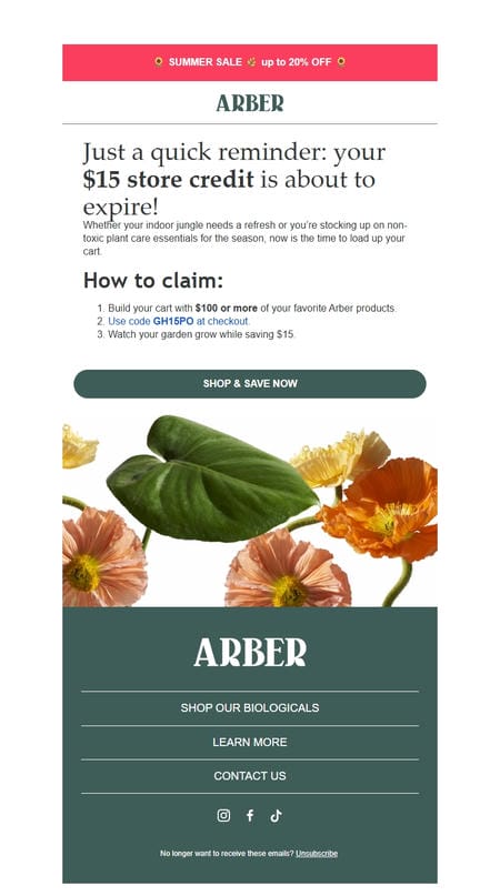 邮件模板创意 Arber 201