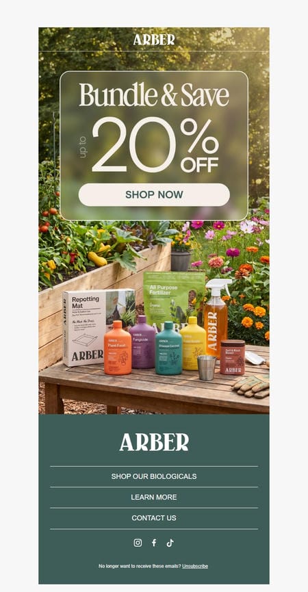 邮件模板创意 Arber 203