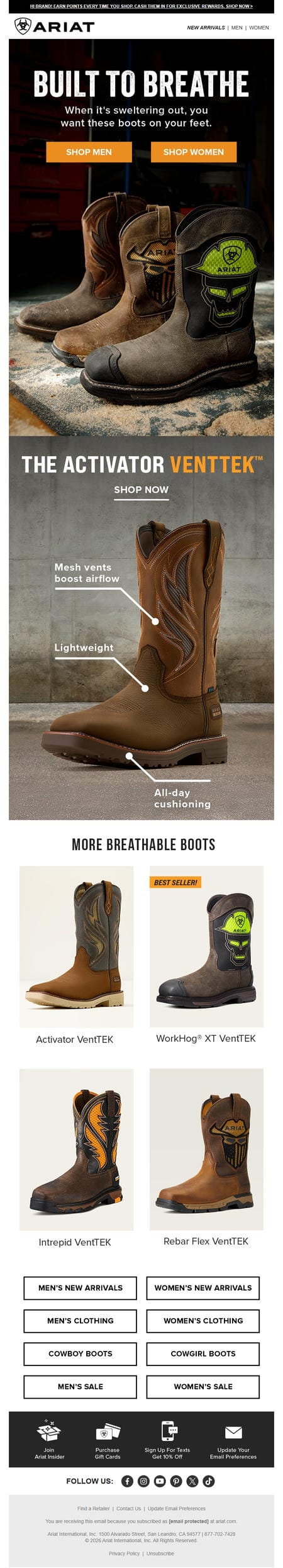 邮件模板创意 Ariat 326