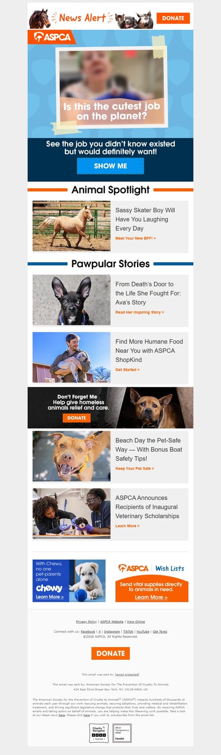 邮件模板创意 Aspca News Alert 8