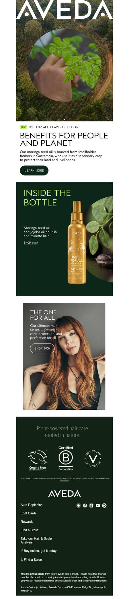 邮件模板创意 Aveda Online 397