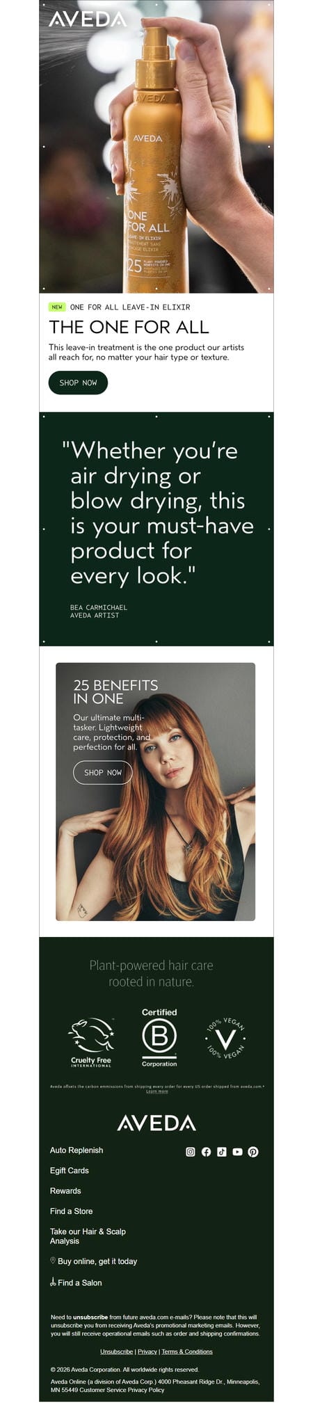 邮件模板创意 Aveda Online 404