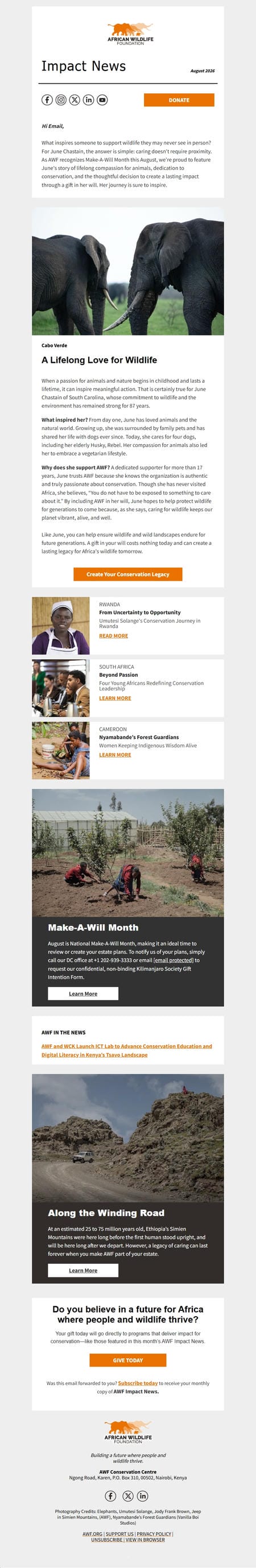 邮件模板创意 Awf Impact News African Wildlife Foundation 3