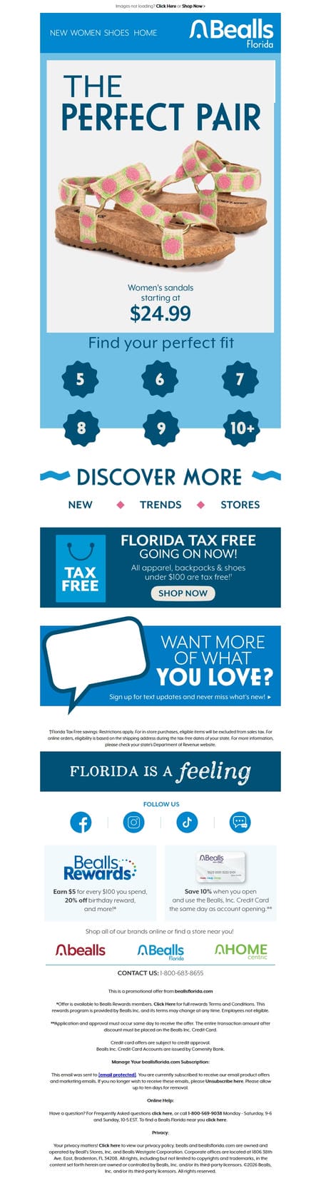 邮件模板创意 Bealls Florida 30