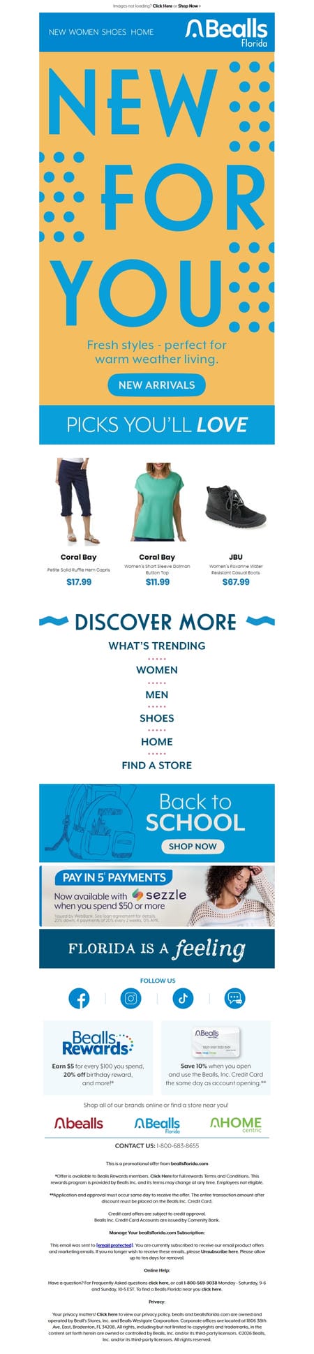 邮件模板创意 Bealls Florida 39