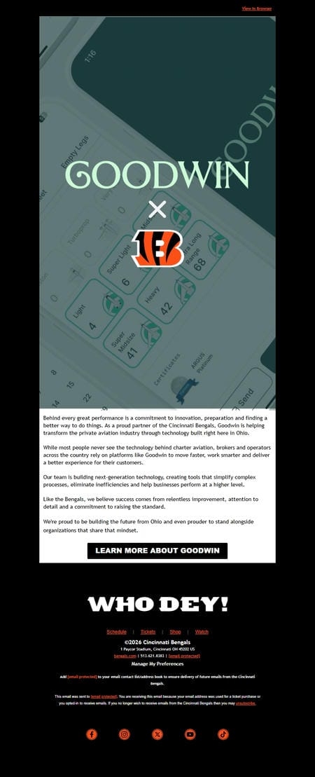 邮件模板创意 Bengals Partnerships 6