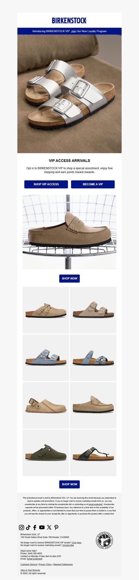 邮件模板创意 Birkenstock News 276