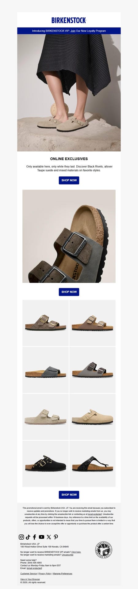邮件模板创意 Birkenstock News 280