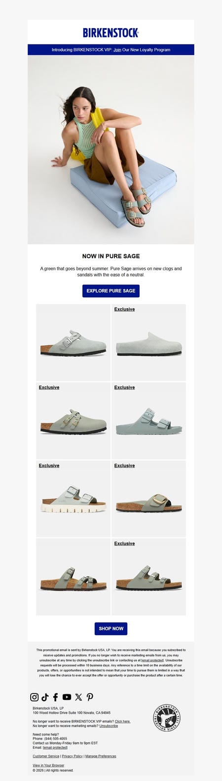 邮件模板创意 Birkenstock News 281