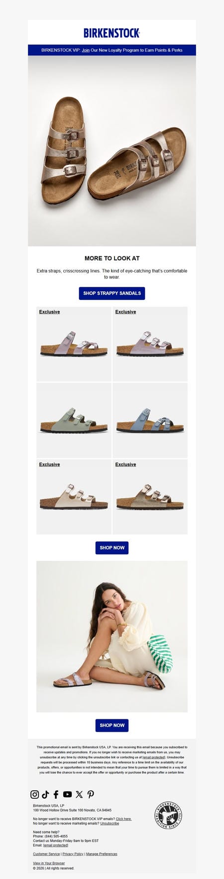 邮件模板创意 Birkenstock News 284