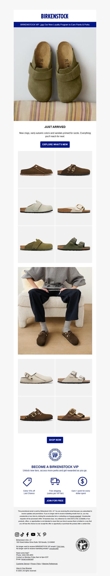 邮件模板创意 Birkenstock News 288