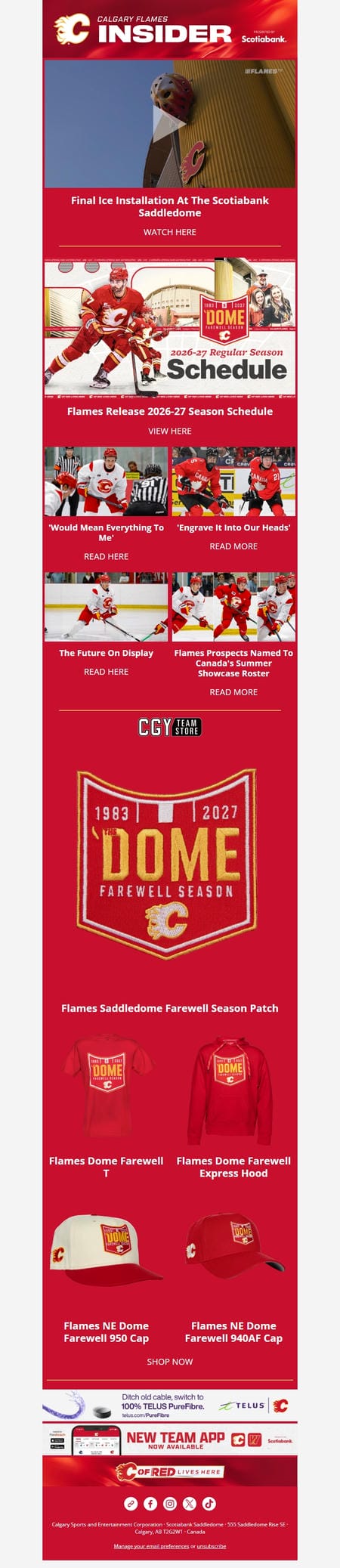 邮件模板创意 Calgary Flames 56