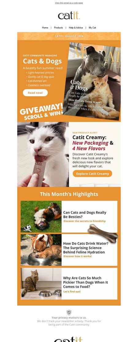 邮件模板创意 Catit 4