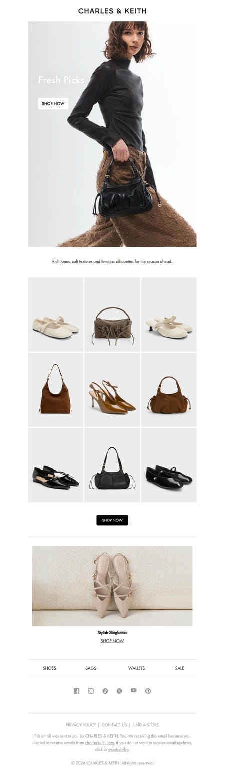邮件模板创意 Charles Keith 43