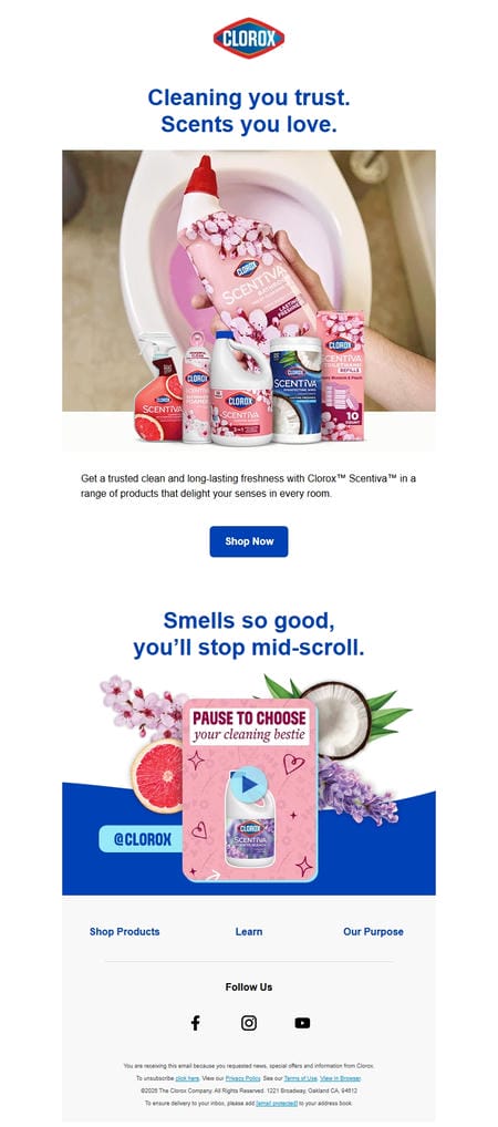 邮件模板创意 Clorox 35