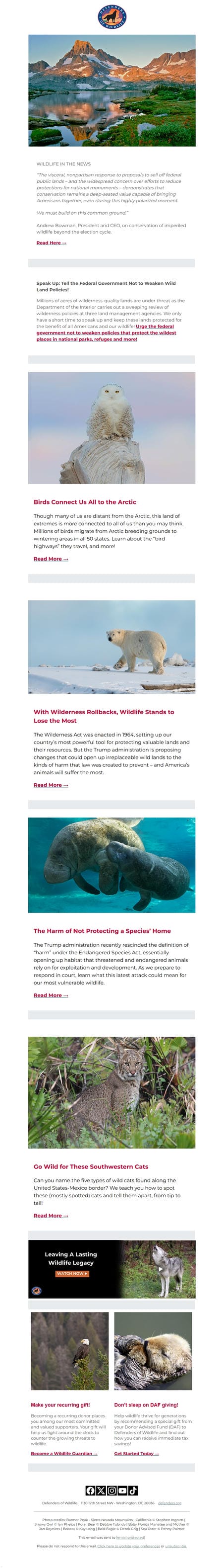 邮件模板创意 Defenders Of Wildlife 16