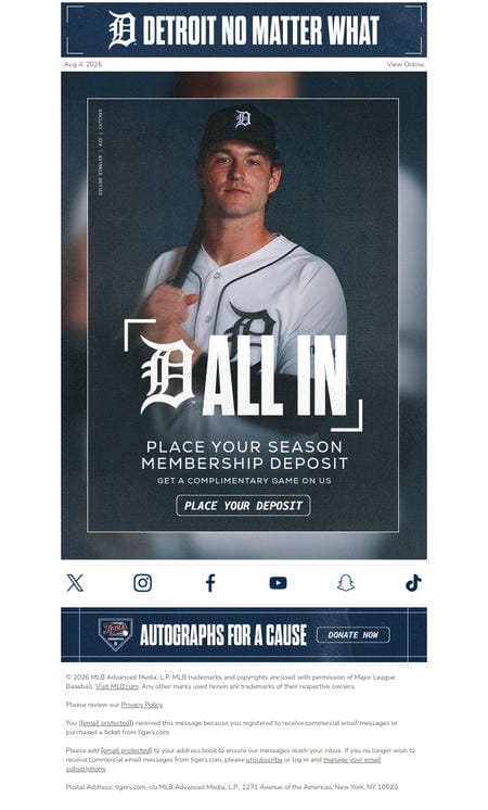 邮件模板创意 Detroit Tigers 249