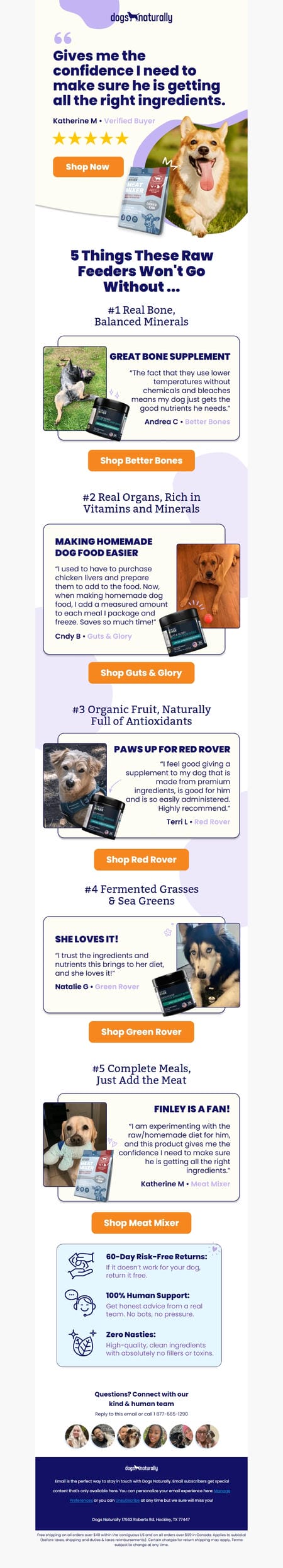 邮件模板创意 Dogs Naturally 19