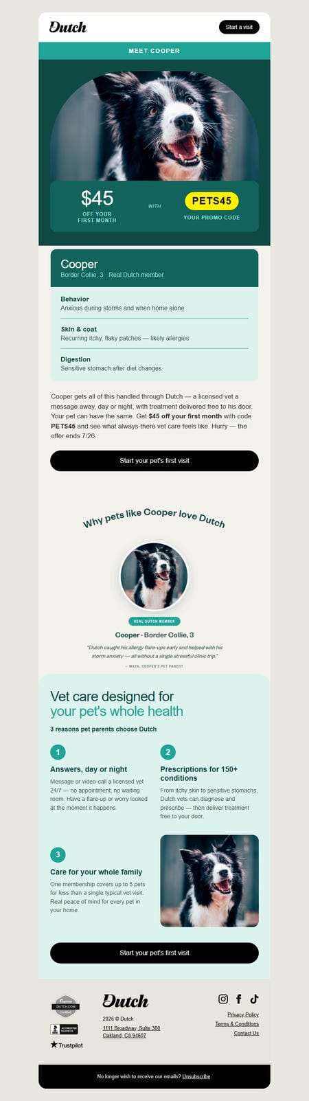 邮件模板创意 Dutch Vet 12