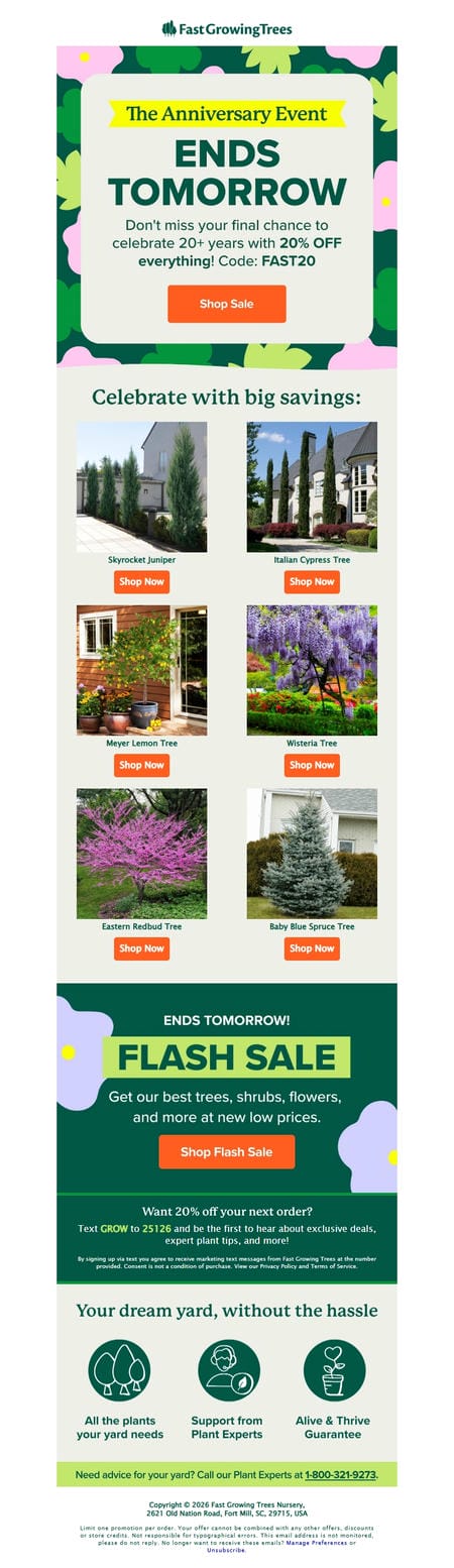 邮件模板创意 Fast Growing Trees Com 233