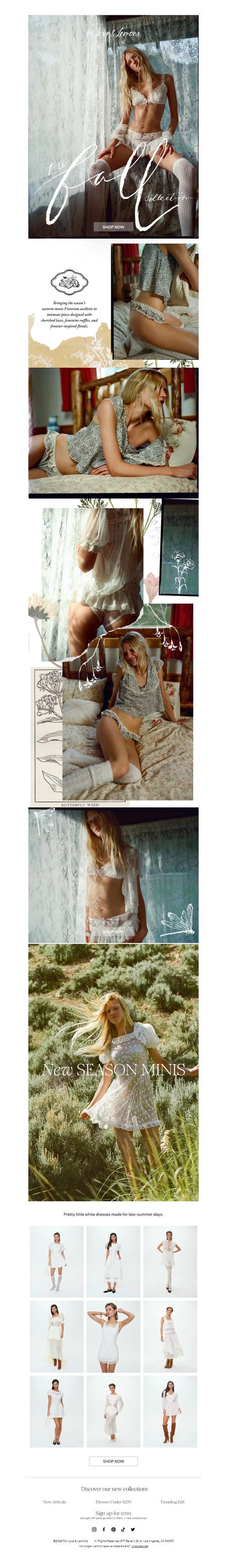 邮件模板创意 For Love Lemons 257