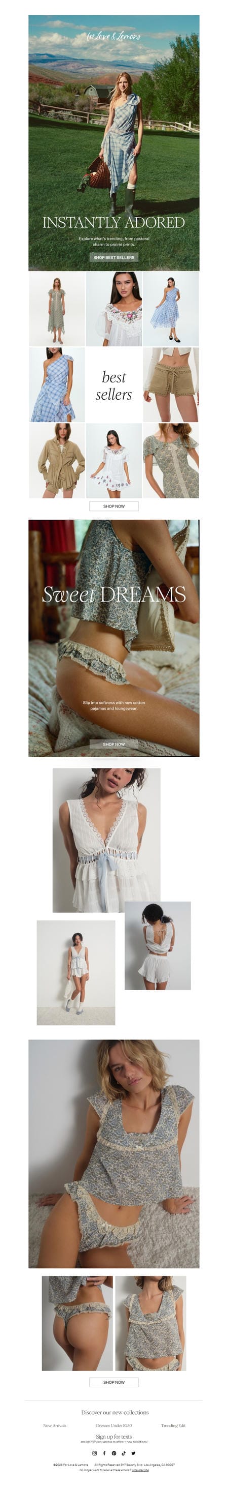 邮件模板创意 For Love Lemons 270