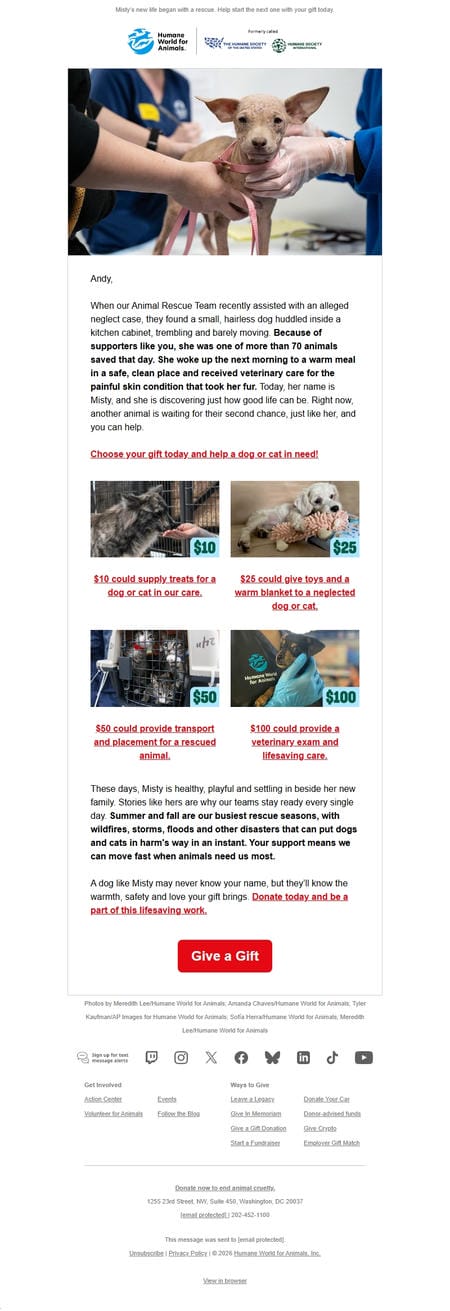 邮件模板创意 Humane World For Animals 146