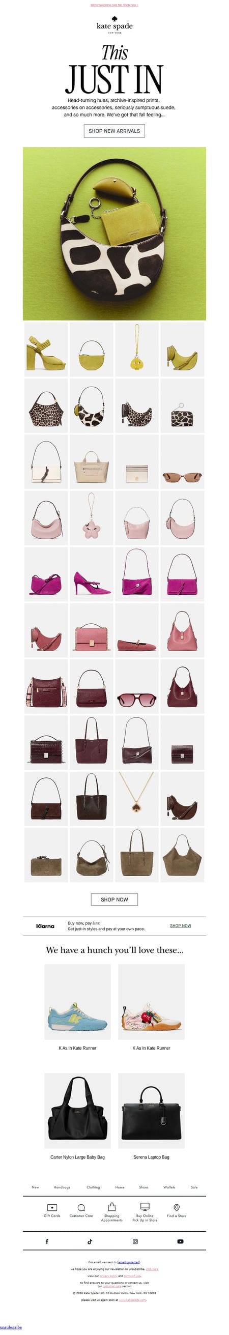 邮件模板创意 Kate Spade 403
