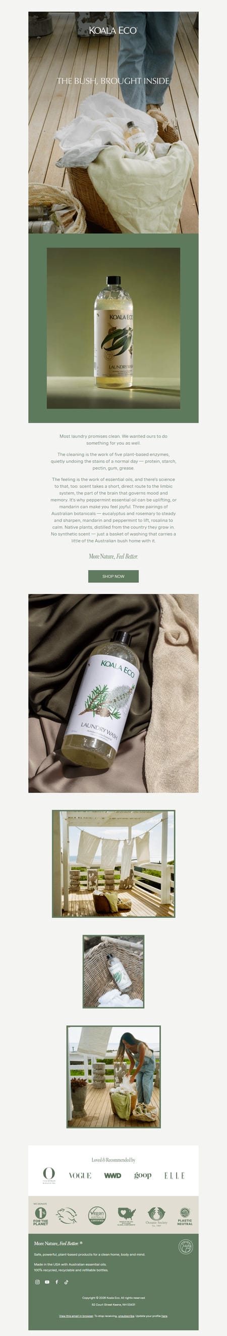 邮件模板创意 Koala Eco Usa 126