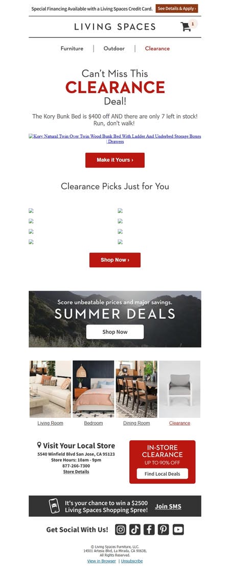 邮件模板创意 Living Spaces Clearance 2