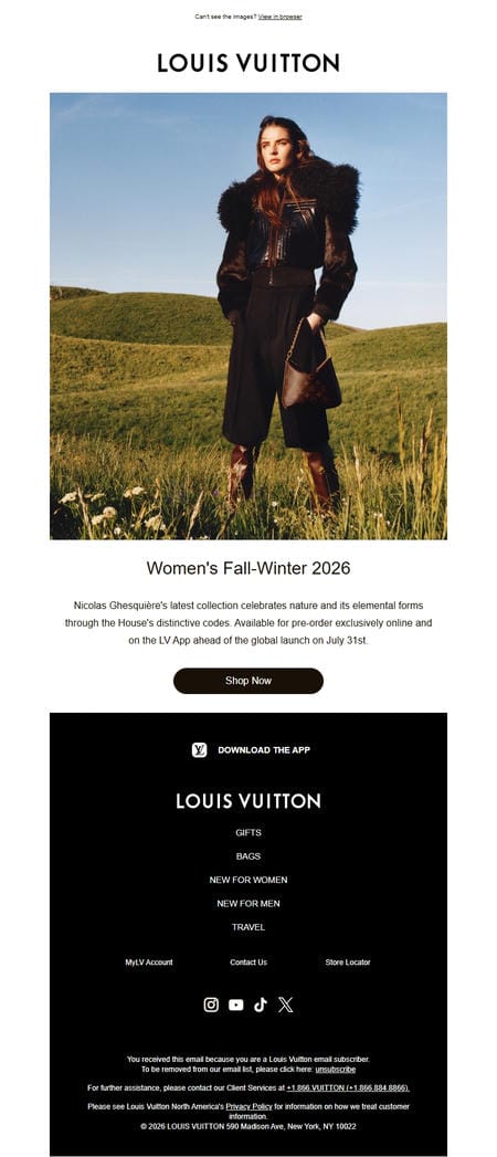 邮件模板创意 Louis Vuitton 35