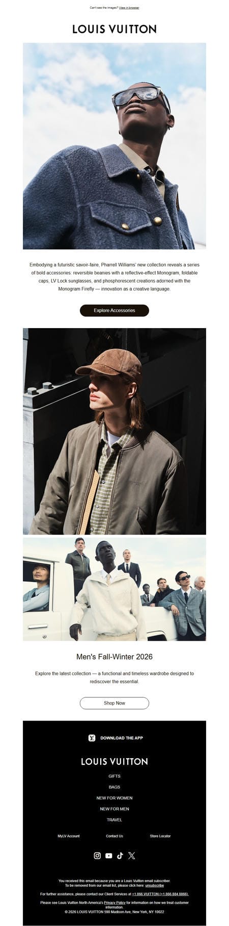 邮件模板创意 Louis Vuitton 37