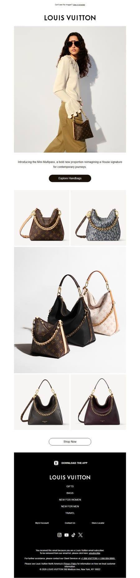 邮件模板创意 Louis Vuitton 38