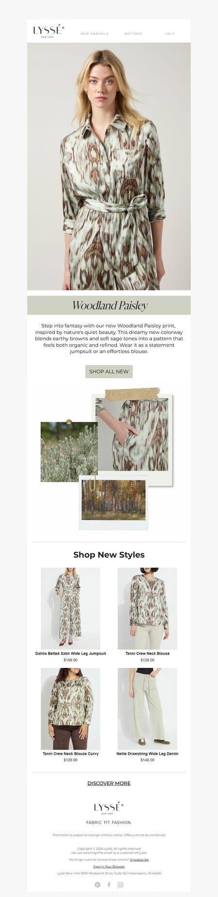 邮件模板创意 Lysse New York 174