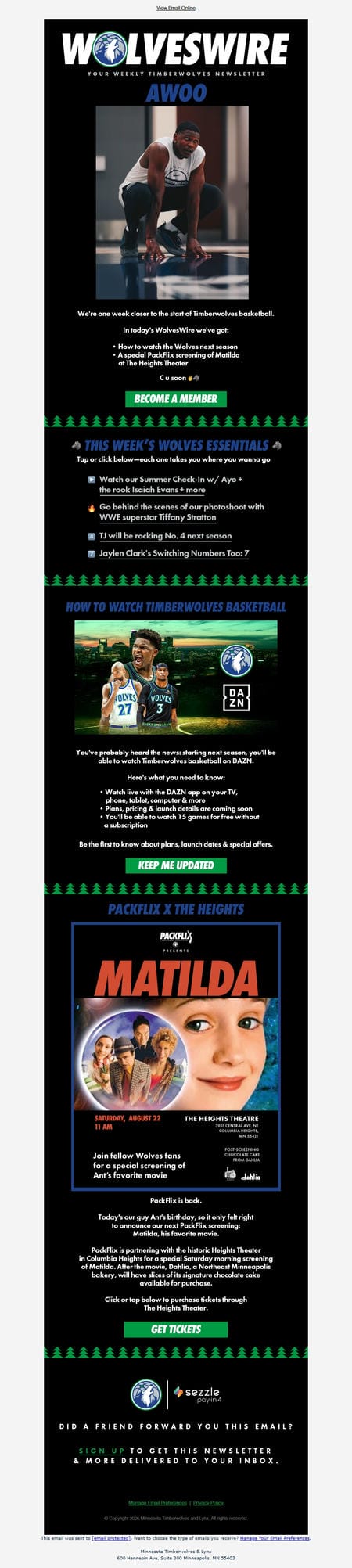 邮件模板创意 Minnesota Timberwolves 129
