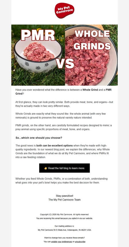 邮件模板创意 My Pet Carnivore 101