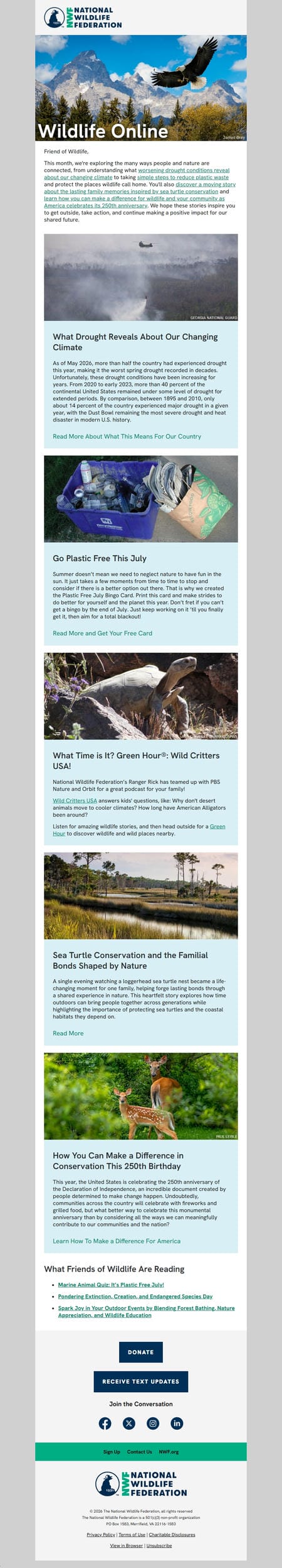 邮件模板创意 National Wildlife Federation 13