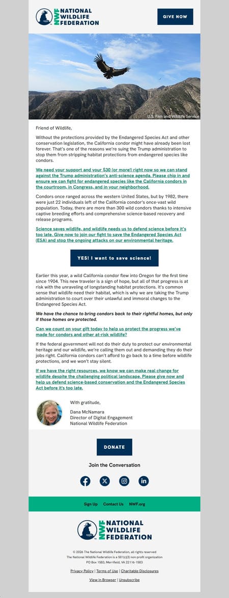 邮件模板创意 National Wildlife Federation 15