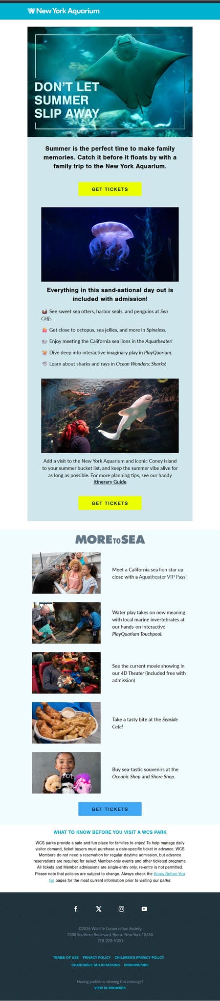 邮件模板创意 New York Aquarium