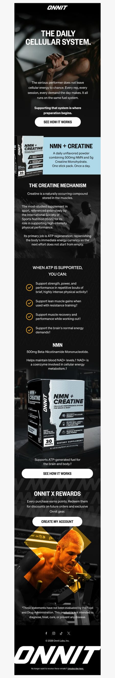 邮件模板创意 Onnit 230