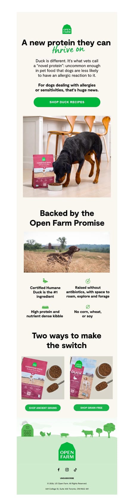 邮件模板创意 Open Farm 81
