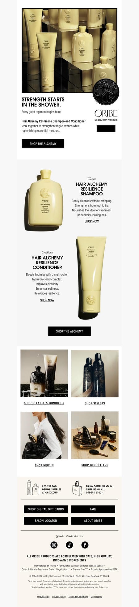 邮件模板创意 Oribe Hair Care 61